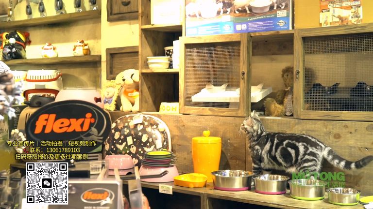 宠物店日系大光圈小宣传片探店.mp4 20260911 171114.456