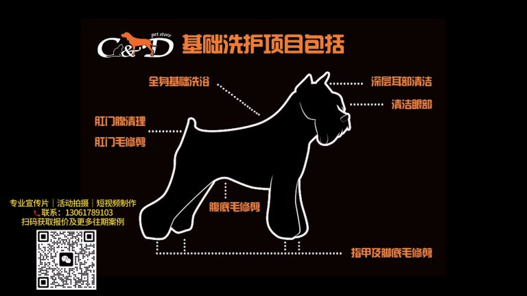 宠物洗澡日系大光圈介绍.mp4 20260909 152231.929