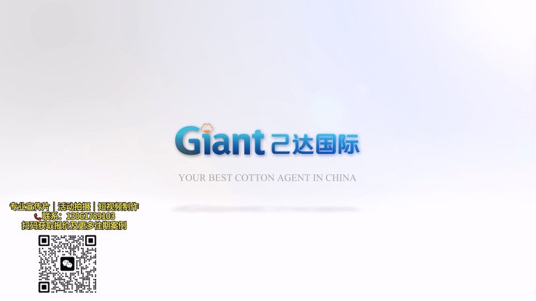己达国际小宣传片.mp4 20260911 144425.535