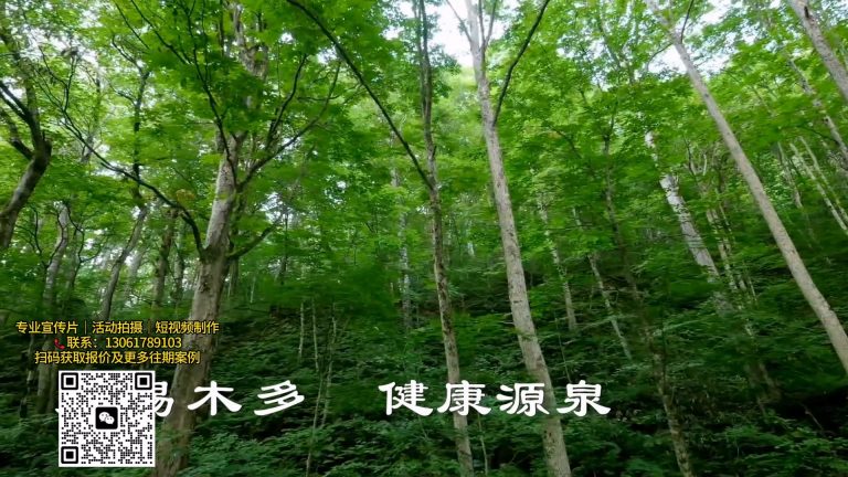 活性炭介绍.mp4 20260909 145657.040